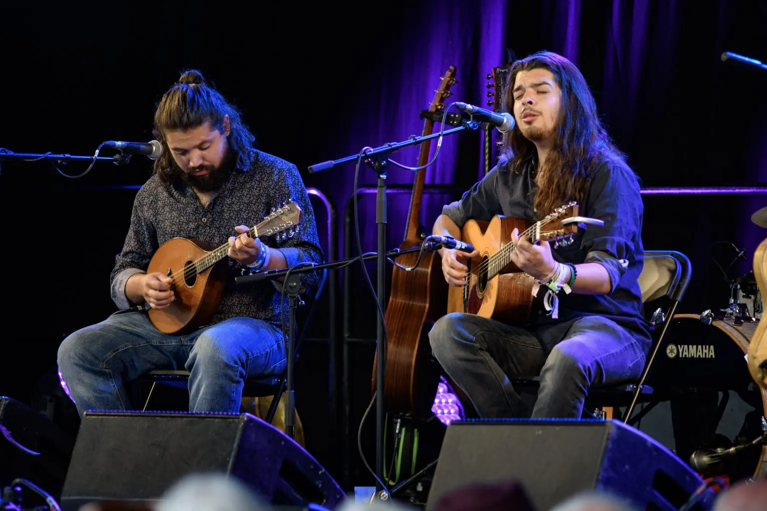 Whitchurch Folk Festival: Patakas