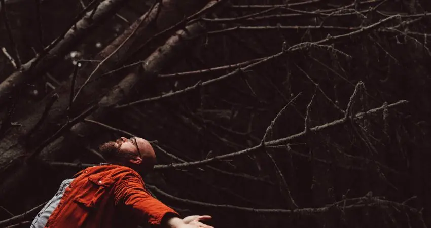 FINDLAY NAPIER