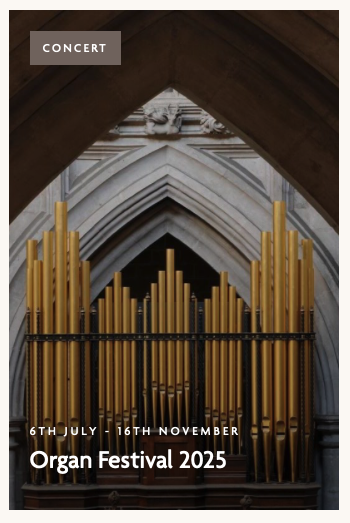 Dónal McCann, Director of Chapel Music at Winchester College Dónal McCann, Director of Chapel Music at Winchester College