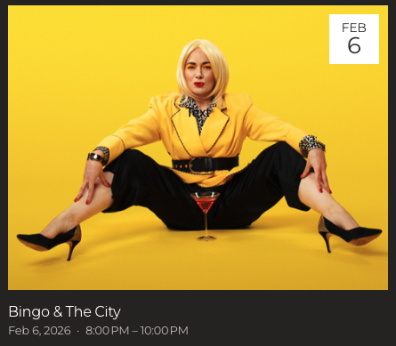 BINGO &amp; THE CITY