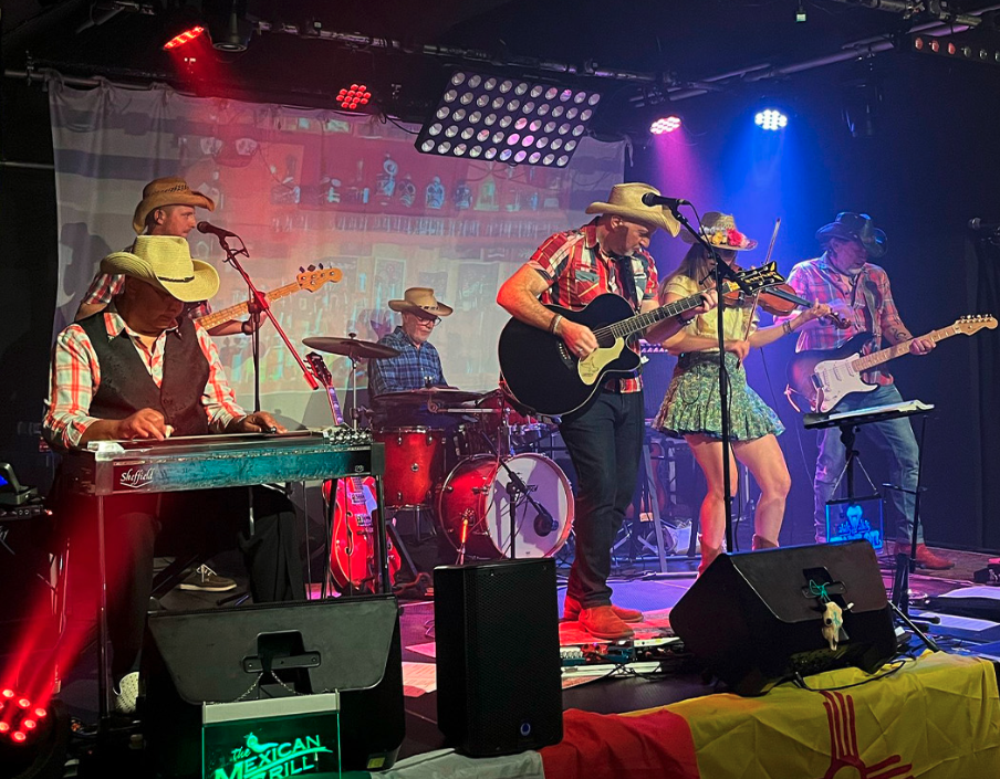 SNAKE OIL BAND AND FRIENDS - A NIGHT IN NASHVILLE