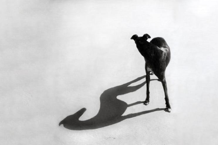 Flabbergast Theatre: Endgame