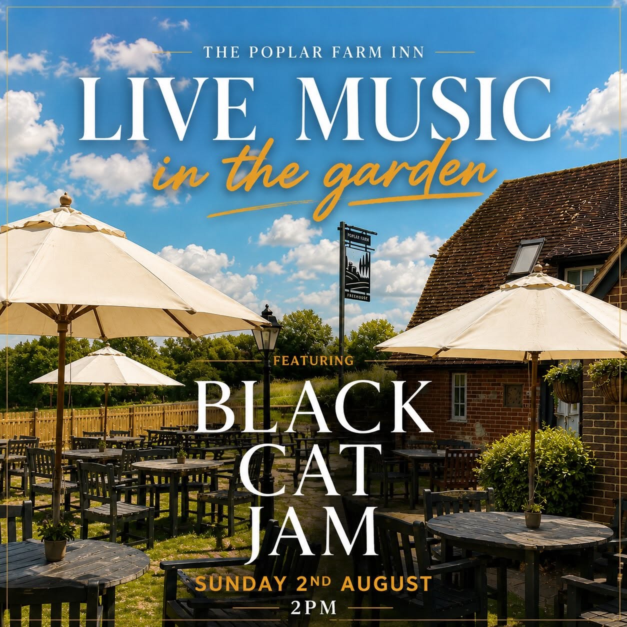 Black Cat Jam