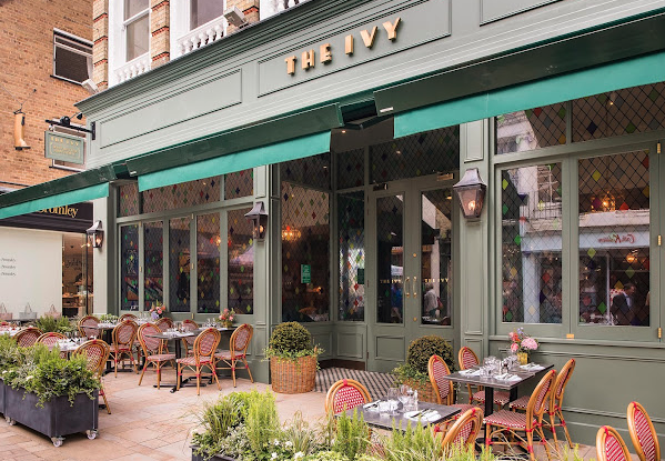 The Ivy